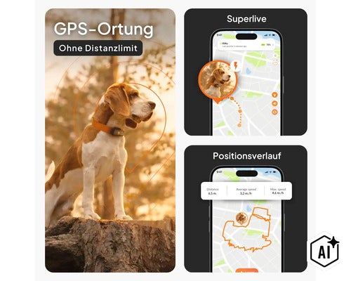 Infografik für einen GPS-Tracker für Hunde mit Funktionen wie GPS-Ortung ohne Distanzlimit, Live-Tracking und Positionsverlauf auf dem Smartphone. (Image AI modified or generated)