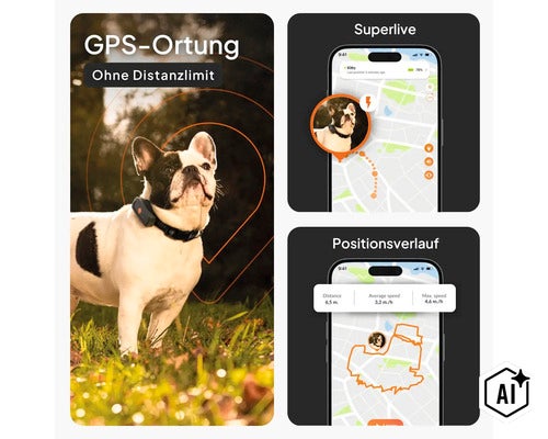 Infografik für GPS-Tracker für Hunde mit Darstellung von Live-Ortung und Positionsverlauf auf einer Smartphone-App. (Image AI modified or generated)