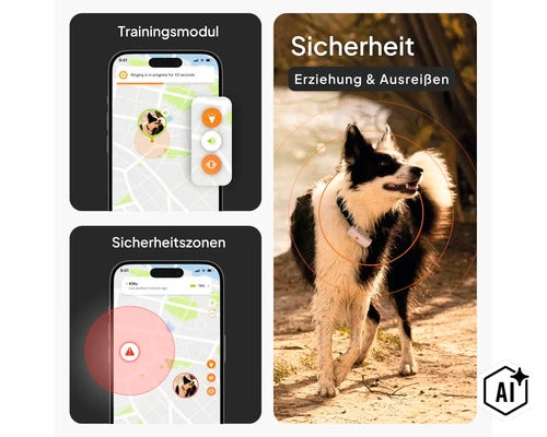 Infografik für GPS-Tracker für Hunde: Smartphone-App mit Trainingsmodul und Sicherheitszonen sowie Hund mit Tracker-Halsband im Freien. (Image AI modified or generated)