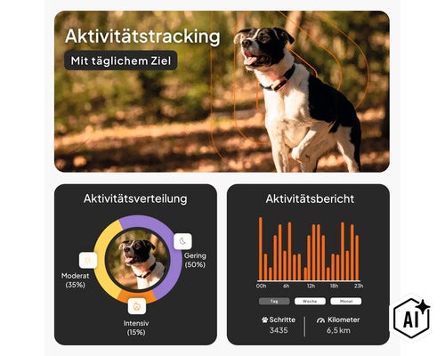 Infografik zum Aktivitätstracking für Hunde mit Diagrammen zur Aktivitätsverteilung und einem Aktivitätsbericht mit Schritten und Kilometern. (Image AI modified or generated)