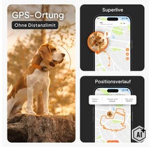 Infografik für GPS-Hundetracker mit App-Darstellung für Live-Ortung ohne Distanzlimit und Positionsverlauf. (Image AI modified or generated)