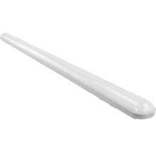 Schlanke LED-Feuchtraumleuchte mit weißer Abdeckung und grauem Gehäuse.