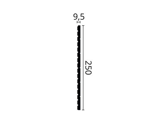 Technische Zeichnung eines Profils mit einer Stärke von 9,5 Millimetern und einer Länge von 250 Zentimetern.