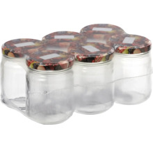 Sechs leere Einmachgläser aus Glas mit Schraubdeckel und Fruchtmotiv, verpackt als Set zum Einkochen und Konservieren.