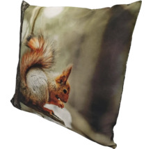 Dekokissen mit Eichhörnchen Motivdruck auf einem Baumstamm