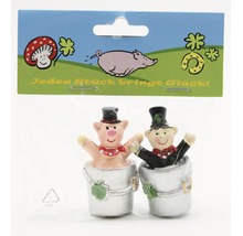 Zwei kleine Glücksbringer Figuren, ein Schweinchen und ein Schornsteinfeger in Eimern, auf einer Blisterkarte mit glückbringenden Symbolen.