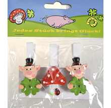 Drei dekorative Klammern mit Glücksbringer Motiven wie Schwein und Fliegenpilz auf einer Pappe in Folienverpackung