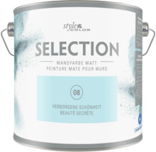 Dose Style Color Selection Wandfarbe matt Farbton Verborgene Schönheit