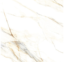 Fliese mit Marmoroptik und feiner Äderung für Wand und Boden