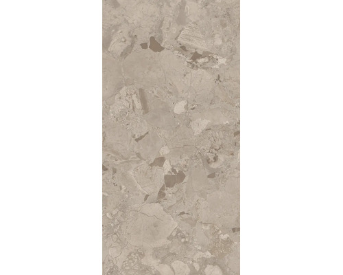 Fliese mit Terrazzo Optik in Natursteinoptik für Wand und Boden