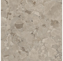 Fliese mit Terrazzo Optik in Steinoptik für Wand und Boden