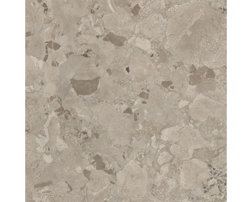 Fliese mit Terrazzo Optik in Steinoptik für Wand und Boden