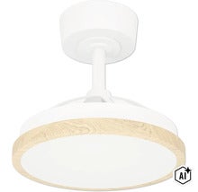 Deckenventilator mit integrierter LED Beleuchtung und Holzoptik Rahmen (Image AI modified or generated)
