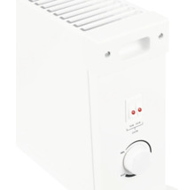 Elektrischer Konvektor mit Thermostat und Schaltern für 750 Watt und 1250 Watt Leistung zur flexiblen Raumbeheizung.