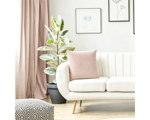Modernes Wohnzimmer mit weißem Sofa, geripptem Kissen, Zimmerpflanze und Vorhängen in einer hellen Einrichtung.