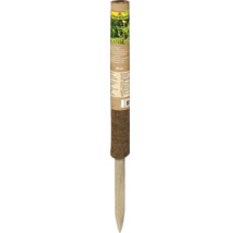 FloraSelf Kokos Pflanzstab aus Naturfaser mit Holzstab, 60 Zentimeter lang, zur Unterstützung von Kletterpflanzen im Garten.