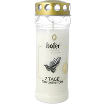 Hofer Friedlicht Premium Grablicht mit 7 Tagen Brenndauer in zylindrischer Form mit Deckel.