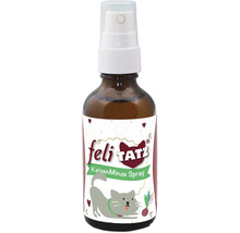 Braune Sprühflasche mit Katzenminze Spray für Katzen von felitatz