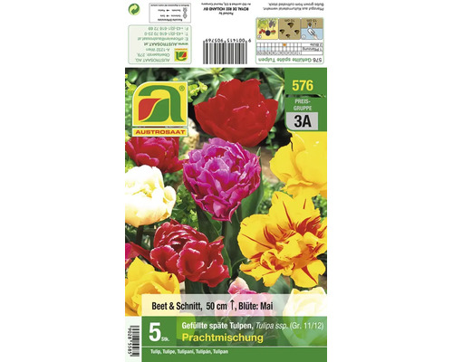 Verpackung mit Blumenzwiebeln gefüllte späte Tulpen Prachtmischung für Beet und Schnitt mit 5 Stück Inhalt und Pflanzanleitung
