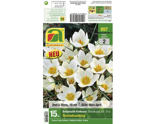 Produktverpackung fuer 15 Stueck botanische Krokusse der Sorte Snowbunting mit weissen Blueten fuer Beet und Wiese.