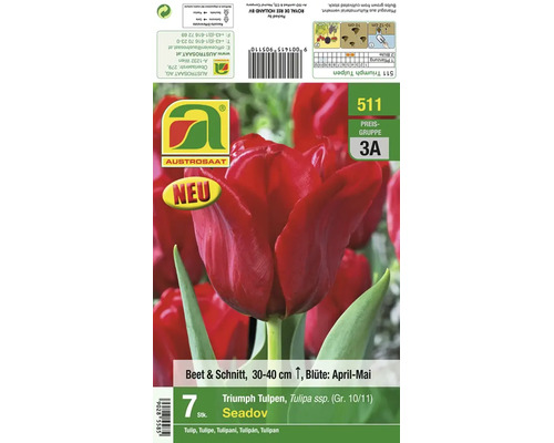 Packung mit sieben Triumph Tulpen Seadov Blumenzwiebeln für das Beet und als Schnittblumen mit einer Wuchshöhe von 30 bis 40 Zentimetern.