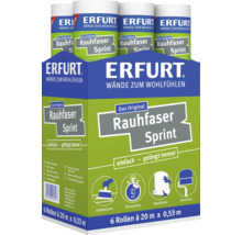 Erfurt Rauhfaser Sprint Raufasertapete im Karton mit 6 Rollen zu je 20 Meter mal 0,53 Meter zur Wandgestaltung