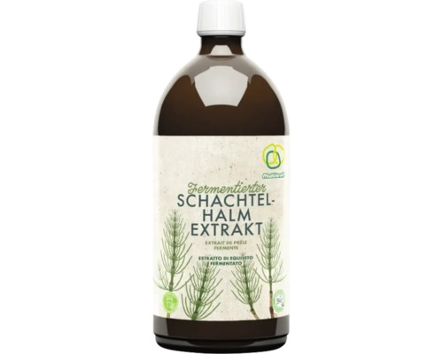 Multikraft fermentierter Schachtelhalm Extrakt als Pflanzenstärkungsmittel in einer Flasche