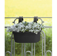 Balkonkasten zur Aufhängung am Geländer mit bepflanzten weißen Blumen.