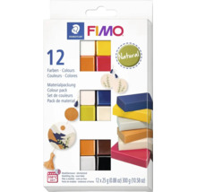 FIMO Staedtler Modelliermasse Set mit 12 Farben, ofenhärtend, 300 Gramm, zum Basteln und Gestalten von Schmuck oder Dekorationen.