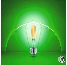 Philips LED Filament Lampe mit E27 Sockel in Birnenform (Image AI modified or generated)