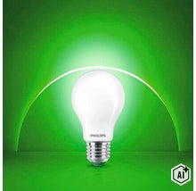Philips LED Lampe mit E27 Sockel und matter Glaskolbenform (Image AI modified or generated)