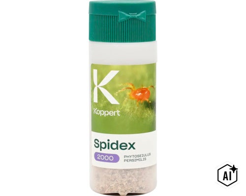Koppert Spidex 2000 biologisches Schädlingsbekämpfungsmittel gegen Spinnmilben (Image AI modified or generated)