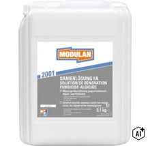 Modulan 2001 Sanierlösung FA 5 Liter Kanister zur Bekämpfung von Schimmel Algen und Pilzbefall für den Innen und Außenbereich (Image AI modified or generated)