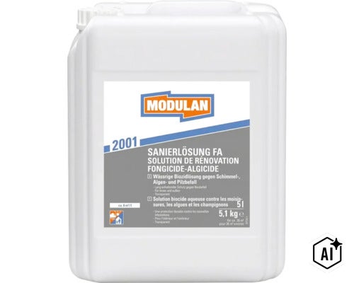 Modulan 2001 Sanierlösung FA 5 Liter Kanister zur Bekämpfung von Schimmel Algen und Pilzbefall für den Innen und Außenbereich (Image AI modified or generated)
