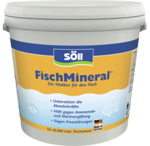 Eimer Söll FischMineral Teichpflegemittel zur Unterstützung der Abwehrkräfte und bei Vergiftungen für bis zu 50.000 Liter Teichwasser.