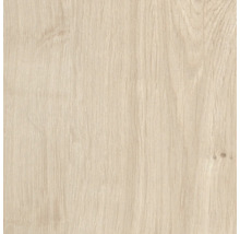 Holzoptik Laminat mit naturgetreuer Eichenholzmaserung und feinen Strukturen.