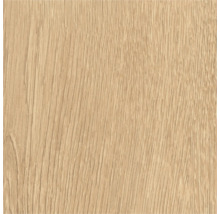 Holzmuster mit Eichenoptik und feiner Maserung