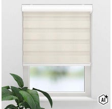Doppelrollo mit abwechselnd blickdichten und transparenten Streifen vor einem Fenster mit einer Zimmerpflanze im Vordergrund (Image AI modified or generated)