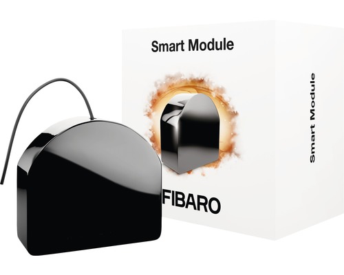 Fibaro Smart Module und Verpackung