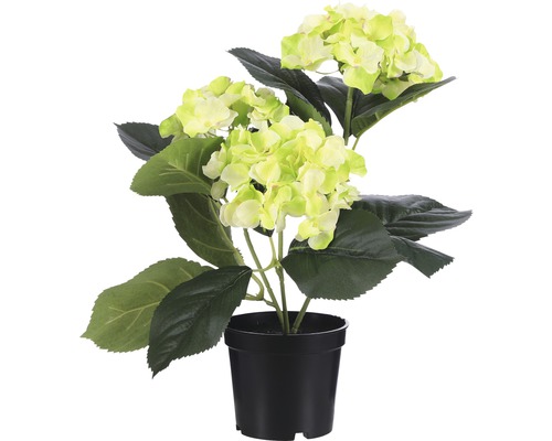 Kunstblume Hortensie Höhe: 32 cm grün