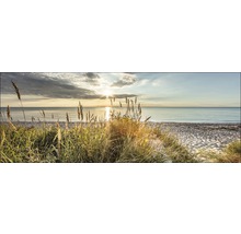 Landschaft mit Strand, Gras und Meer