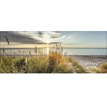 Panorama einer Küstenlandschaft mit Gras im Vordergrund, einem Strand und dem Meer im Hintergrund