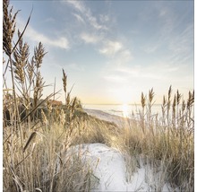 Dünenlandschaft mit Strandhafer und Meerblick