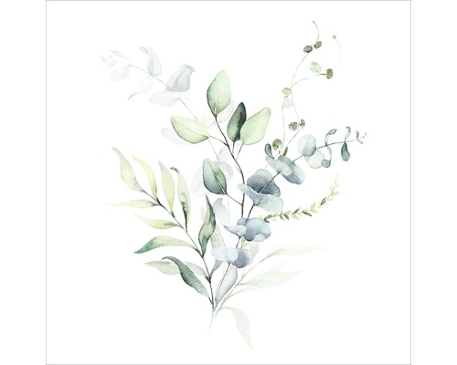 Aquarellbild von Eukalyptus und Blättern