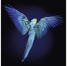 Glasbild Blue Parrot 20x20 cm-thumb-0