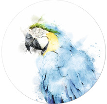 Illustration eines Papageis im Aquarellstil