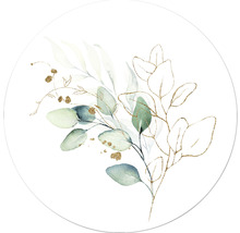 Illustration von Eukalyptusblättern