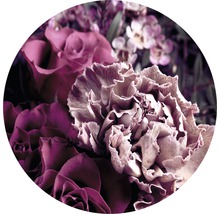 Nahaufnahme von Rosen und Nelkenblüten