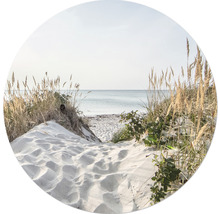 Blick auf einen Sandstrand mit Gras und Meer