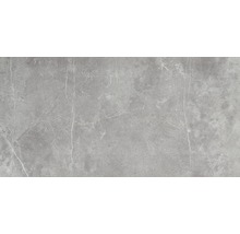 Feinsteinzeug Bodenfliese Discreet Gris Pulido 80x160 cm glänzend rektifiziert